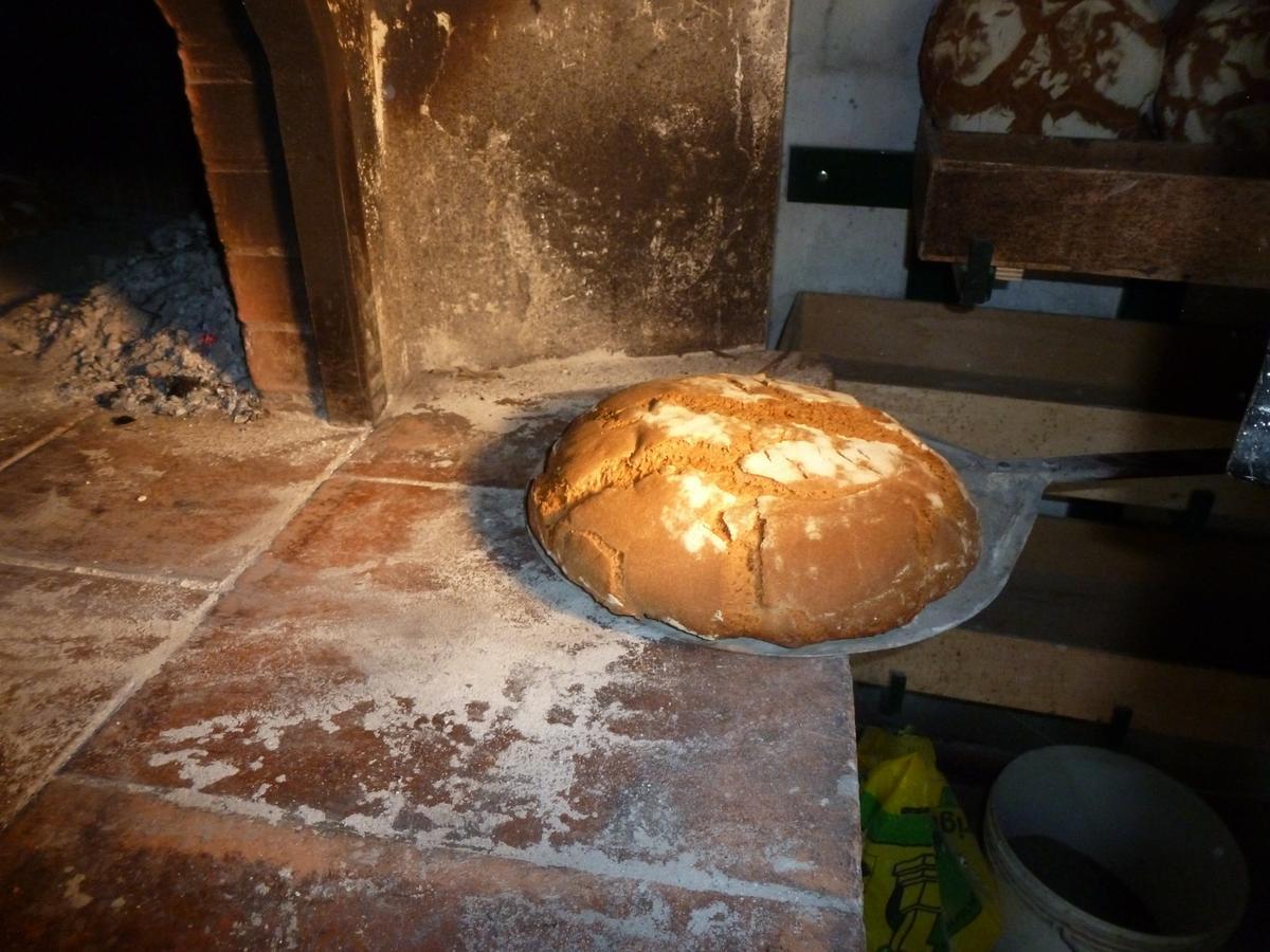 罗西尼亚诺马里蒂莫 Agriturismo San Marco酒店 外观 照片