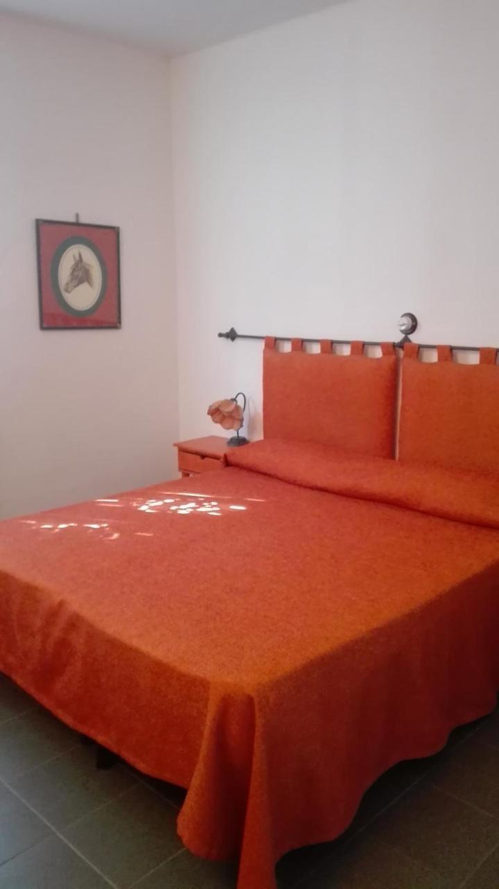 罗西尼亚诺马里蒂莫 Agriturismo San Marco酒店 外观 照片